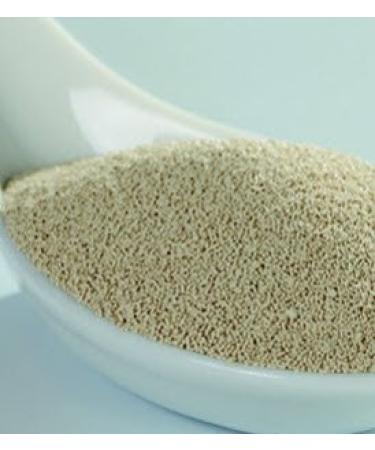 Lallemand Instaferm Instant Dry Yeast Leavening Agent  Red  15.88 Oz. - Buy Online on GoSupps.com