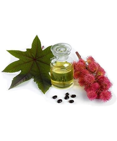 Castor Oil 100 ml 100% Organic Cold Press for Hair Nails Eyebrows - Buy Online on GoSupps.com