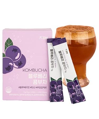 DALAMHARI Kombucha | Blueberry 15T | Adaptogen Drink Prebiotic Soda Health Ade Kombucha Drink Synergy Kombucha Scoby Kombucha Starter Kit Korean Drinks Zero Sugar Kombucha Tea