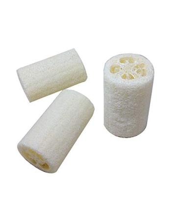 Organic 4 Inch Loofah Sponge 5-Pack for Skin Cleansing and Exfoliation | Bath and Shower Puff Scrubber for Daily Body Care - Buy Online on GoSupps.com