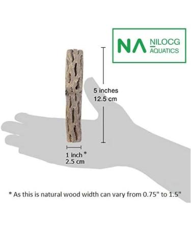 NApremium Natural Cholla Wood. Long Natural Cholla Wood for Aquarium Decoration  Hermit Crabs  Shrimp. 3x 5-6 Inch Cholla - Buy Online on GoSupps.com