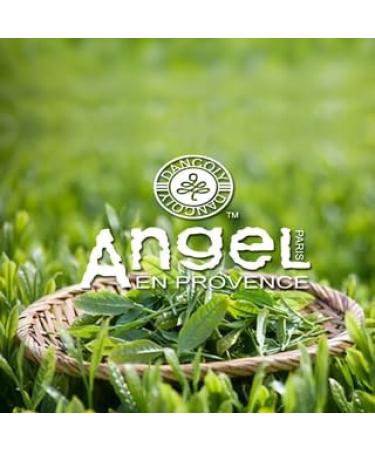 Angel Green Tea Anti Dandruff Conditioner 800 ml - Buy Online on GoSupps.com