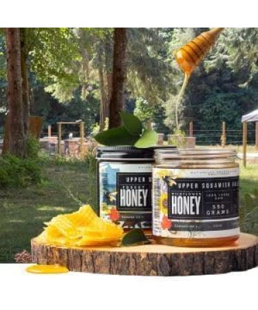 ALPINE HONEY - Canadian Buckwheat Raw Unpasteurized Honey (550 gr)  - Buy Online on GoSupps.com