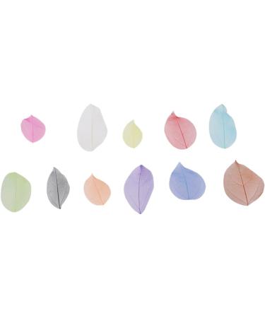 TEHAUX 200 Pcs Leaf Skeleton Art Natural Rubber Leaves Skeleton Natural Leaves Wedding Decor Leaves Charm Pendants Artificial Leaves Craft Skeleton Leaf Bamboo Phone Case Craft Leaf As Shownx2pcs Mx2pcs - Buy Online on GoSupps.com