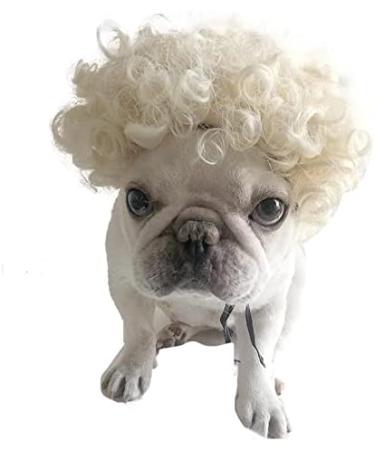 Funny Dog & Cat Role Play Wigs for Halloween Christmas & Parties | Premium Pet Wigs for Small Medium & Large Dogs - Golden Hair - Buy Online on GoSupps.com
