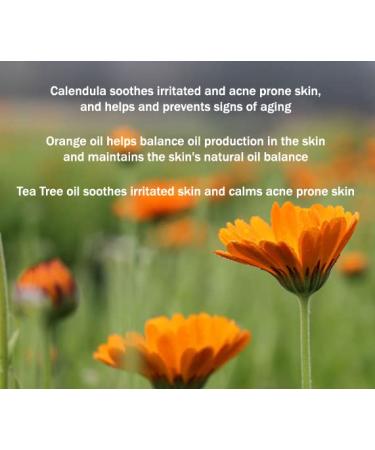 Bel Essence Anti-Aging Face Moisturizer for Oily Skin - Anti Wrinkle Face Cream for Normal to Oily Skin - Hydrating Face Moisturizer to Reduces Fine Lines/Balance Oil Production 1.5 Oz - Buy Online on GoSupps.com