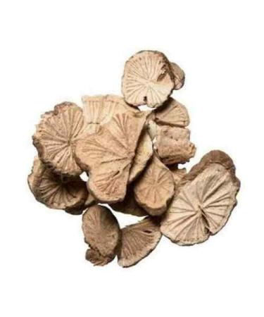 TCM Herbs USA Fang Ji / Radix Stephaniae Tetrandrae (16 oz) 16 Ounce