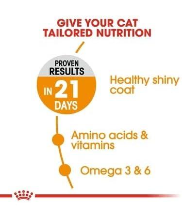 Royal Canin Hair & Skin Care Dry Cat Food 2kg Poultry 2 kg (Pack of 1) - Buy Online on GoSupps.com