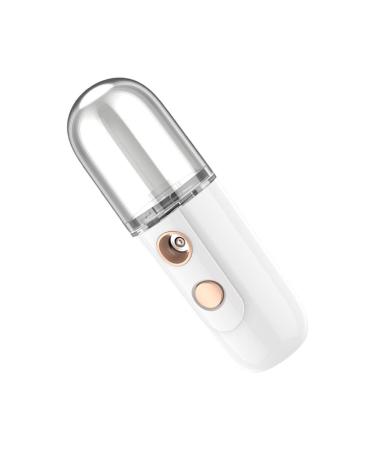 DOITOOL 1pc Spray Hydrating Apparatus Spa Face Steamer Facial Mister Nano Mist Sprayer Mini Face Humidifier Nanometer Sprayer Mini Hydration Sprayer Beauty Instrument Handheld Abs White