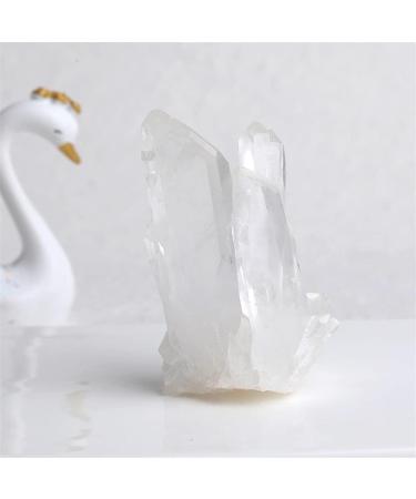 Natural Crystal Rough Home 1PC Natural White Crystal Cluster Quartz Raw Point Specimen Raw Crystals Gemstone Reiki Stone Home Decor dingchi (Color : Raw Point Size : 90-120g) 90-120g Raw Point - Buy Online on GoSupps.com