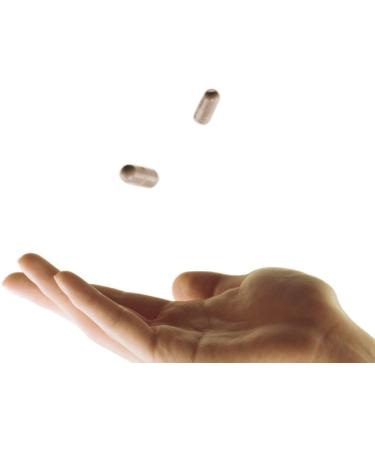 HVMN Rise Nootropic Supplement - Bacopa Monnieri, Ashwagandha, CDP Choline, Citicoline - 60 Count - Buy Online on GoSupps.com