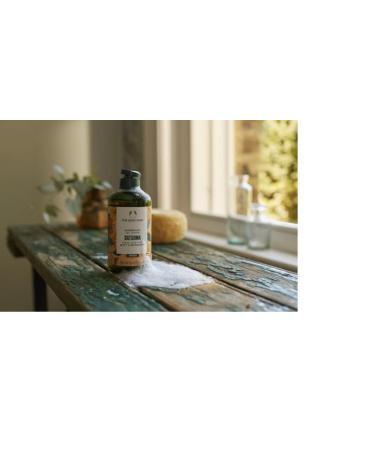 Buy The Body Shop Satsuma Shower Gel 250 ML - Vegan Refreshing Cleanse for All Skin Types - Shop Internationally - Buy Online on GoSupps.com