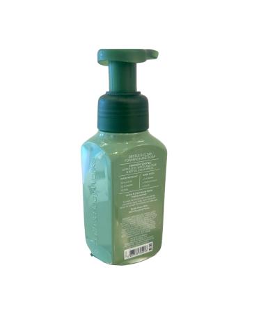 Bath & Body Works MAHOGANY APPLE and FRESH FALL MORNING 2-piece bundle Gentle & Clean Foaming Hand Soap Autumn Scents 8.75 fl oz each - Buy Online on GoSupps.com