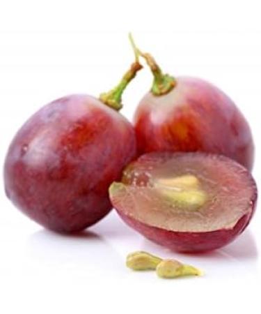 Natural Support Supplement- Grape Seed Extract - Grape Seed Rich Grape Seed Extract for Cleaning red Grape Powder Capsules red Wine Extract Supplement Immune Support Supplement 1 Bot 30 Capsules - Buy Online on GoSupps.com