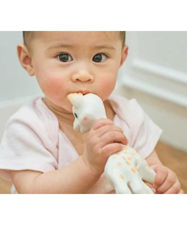 Sophie la Girafe Babycare Tushy Cream - Nourishing Hydration for Happy Skin | Soothes Redness & Rash - Shea Butter - 2 oz - Pack of 3 | International Shipping - Buy Online on GoSupps.com