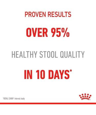 Royal Canin Digestive Care Adult Wet Cat Food in Gravy 48 x 85g Multipack - Buy Online on GoSupps.com