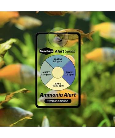Seachem 28658 Alert Combo Pack 1 - Monitor and Maintain Water Quality - Buy Online on GoSupps.com