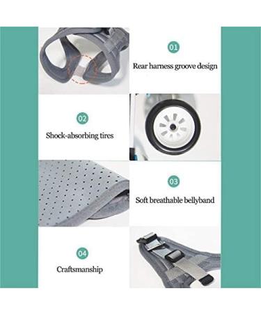 Shower Stool Mobility Pet Dog Wheelchair Cart Full Support 2 Wheel Adjustable for Small Dog Hind Legs Rehabilitation Easy Assemble White XXS Uptodate1 White XXS - Buy Online on GoSupps.com