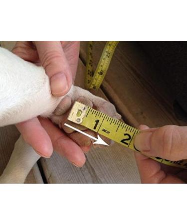 Grippers Non Slip Dog Socks | Paw Traction Control & Protection | Indoor Dog Booties XXS - Buy Online on GoSupps.com