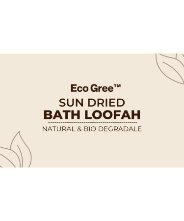 Natural Loofah Body Scrubber - Egyptian Sponge Bath Shower for Men & Women (2-Pack - Buy Online on GoSupps.com