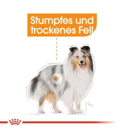 ROYAL CANIN Coat Care Mousse | Pack of 4 | 4 x 12 x 85 g | Wet Dog Food | for Dogs from 10 Months | Formula for Dogs with Dull and Dry Coats - Buy Online on GoSupps.com