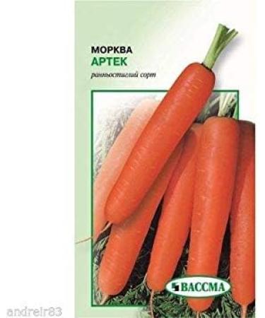Potseed Carrot Seeds Artek 20 G M Ukraine S0157 - Buy Online on GoSupps.com
