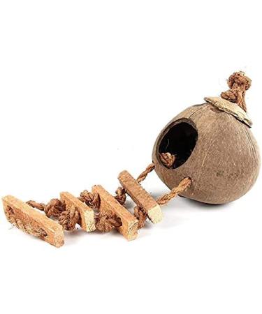 Hanging Bird House with Ladder | Natural Coconut Fiber Shell Nest for Parrots, Parakeets, Lovebirds, Finches, and Canaries | Bird Swing Toy for Hamsters | Pet Bird Cage Accessories - Buy Online on GoSupps.com