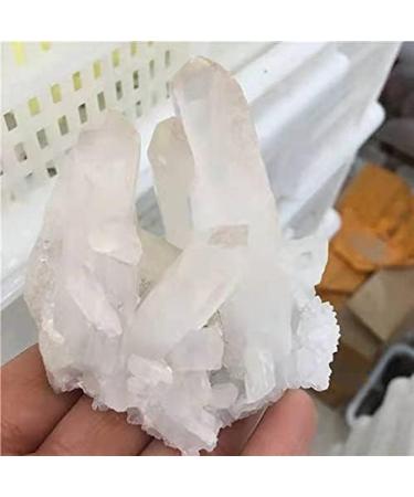 1pc Quartz Natural White Minerals Specimen Crystals Cluster for Stones 500-650g - Buy Online on GoSupps.com