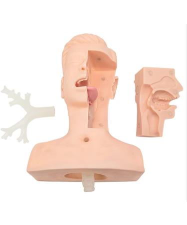 CHROX PVC Nasal Cavity Oral Suction Training Model (Medical Model) Advanced Suction Practice Model for Nursing Medical Training