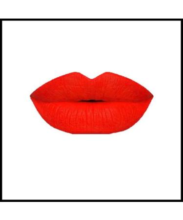 D lali Robinson Cosmetics -Color Me Bad -Weight 0.27 Fl.Oz Premium Long-Lasting Moisturizing Kiss-Proof Mother's Day/Girlfriend Gift Cruelty Free Smudge-Proof Matte Liquid Lipstick (Supernova)