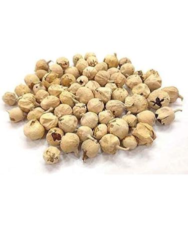 Paneer DODI | Indian Rennet | Paneer Doda | Withania coagulans 1000g - Buy Online on GoSupps.com