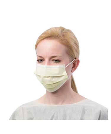 Cardinal Health AT70021 Secure-Gard Procedure Mask with Earloop - Pack of 500 - Buy Online on GoSupps.com