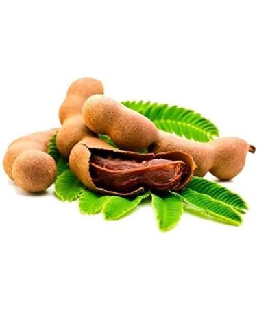 SR Spices Sweet Tamarind Box Thailand Mithi Imli Big Size A Grade Quality 250g Small - Buy Online on GoSupps.com