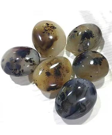 1pc raw Natural Crystals Moss Agate Palm Stone for Home Decoration - Buy Online on GoSupps.com
