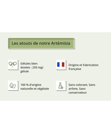 Artemisia Vulgaris - 150 Vegetable Capsules - 100% Pure Artemisia - Made in France Le Pr Vert - Buy Online on GoSupps.com
