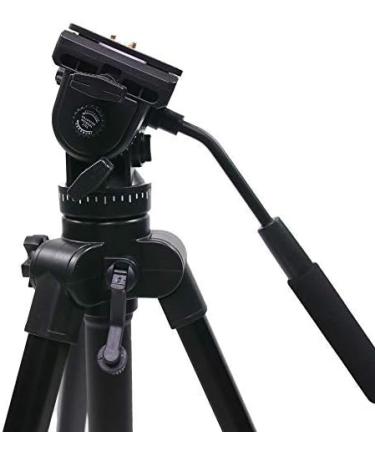 Diva Ring Light Video Tripod - Professional Grade Stability for Perfect Lighting Setups - Buy Online on GoSupps.com
