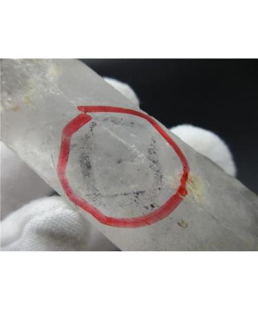 Rare! Natural Clear Quartz Channel with Water Bladder Reiki Fengshui Crystal Minerals Stones - Buy Online on GoSupps.com