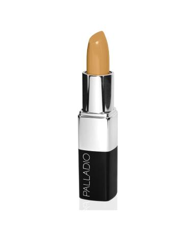 Palladio Stick Concealer - Long-Lasting Natural Cover for Dark Circles & Color Correction | Medium (1 Pack) - Ideal for Daily Use - Buy Online on GoSupps.com