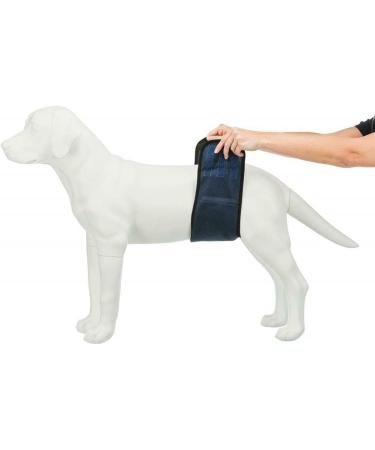 Shop Trixie Belly Band for Male Dogs - Size L (55-65 cm) | Comfortable & Secure Solutions for Pet Parents - Buy Online on GoSupps.com