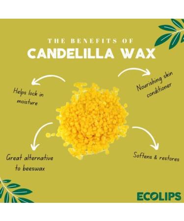 Sweet Mint Vegan Lip Balm 3 Pack by Eco Lips | Natural Bee Free with Organic Ingredients | Plastic-Free Plant Pod Packaging | Made in USA - Buy Online on GoSupps.com