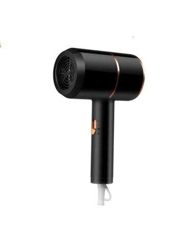 Hair Dryer Fast Drying Cold and Warm air Home appliances high-Powered Blue Light Negative ion Anti-Static Styling 2000W (Color : TY307-Black Size : EU) EU Ty307-black