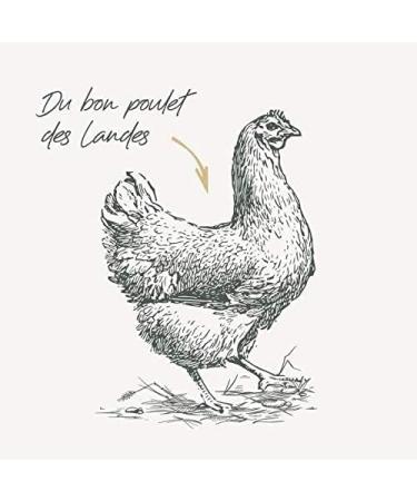 Bab'in Signature Mini Junior 2 kg - Dry Food for Small Puppies and Dogs in Gestation or Lactation - Natural and Balanced - Ad - Buy Online on GoSupps.com