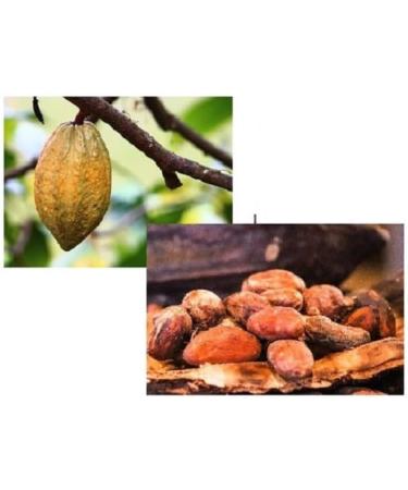 Dark Chocolate Chips 60% Organic Bag of 200 g Resealable - Buy Online on GoSupps.com