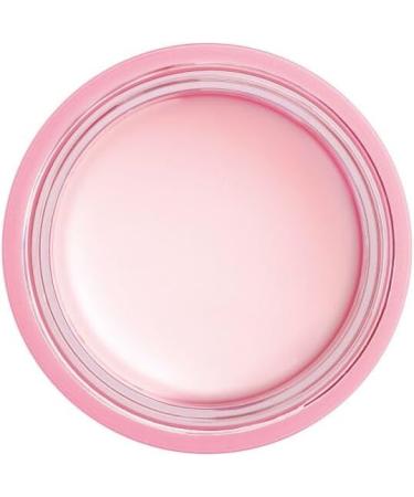 ARTDECO Night & Day Lip Mask intensively caring and regenerating lip mask with rose scent 1 x 20 ml - Buy Online on GoSupps.com