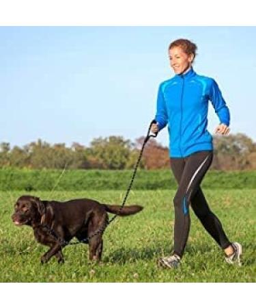 FTTouuy 1.2m Strong Dog Leash - Padded Handle Night Safety Reflex Seams Ideal for All Dog Sizes - Black - Buy Online on GoSupps.com