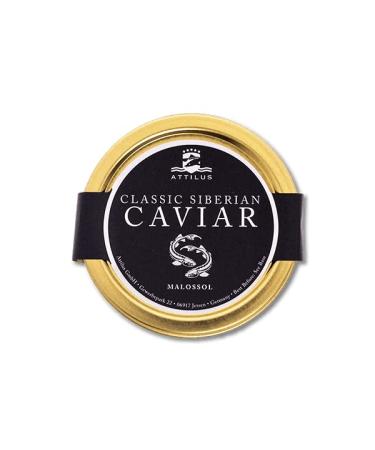 Attilus Kaviar Classic Siberian Caviar (250g) 250 g (1Pack)