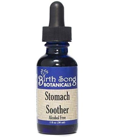 Birth Song Botanicals Stomach Soother Tincture Herbal Digestion Support Supplement for Upset Stomach & Motion Sickness Herbal Digestive Aid Supplement, Alcohol Free, 1 oz - Buy Online on GoSupps.com