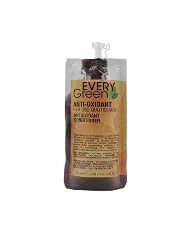 Dikson Pattern DIKSON Everygreen Antioxidant 100 ml travel size one size fits all standard