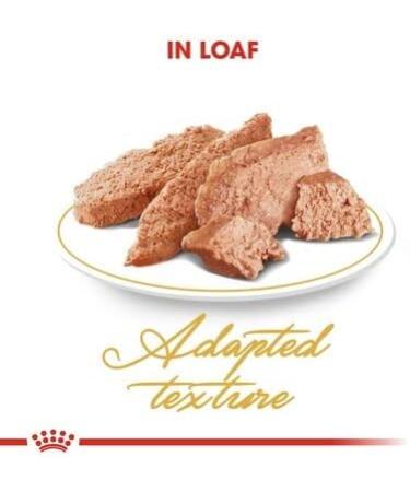 Royal Canin Persian Adult in Gravy Wet Cat Food 85g (48 Pack) - Buy Online on GoSupps.com