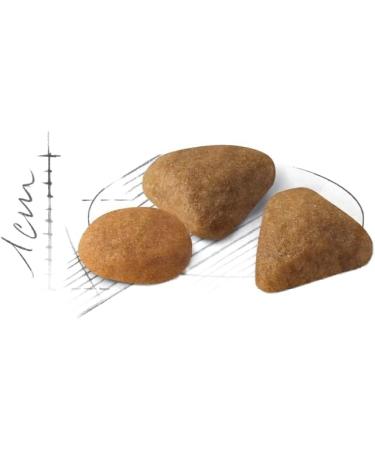 Royal Canin Savour Exigent Adult Cat Food 4kg - Buy Online on GoSupps.com